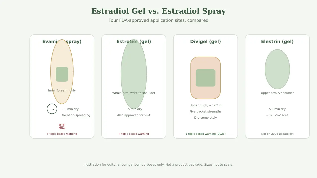 Four FDA-approved estradiol application sites compared: Evamist spray on the inner forearm, EstroGel on the whole arm, Divigel on the upper thigh, and Elestrin on the upper arm and shoulder