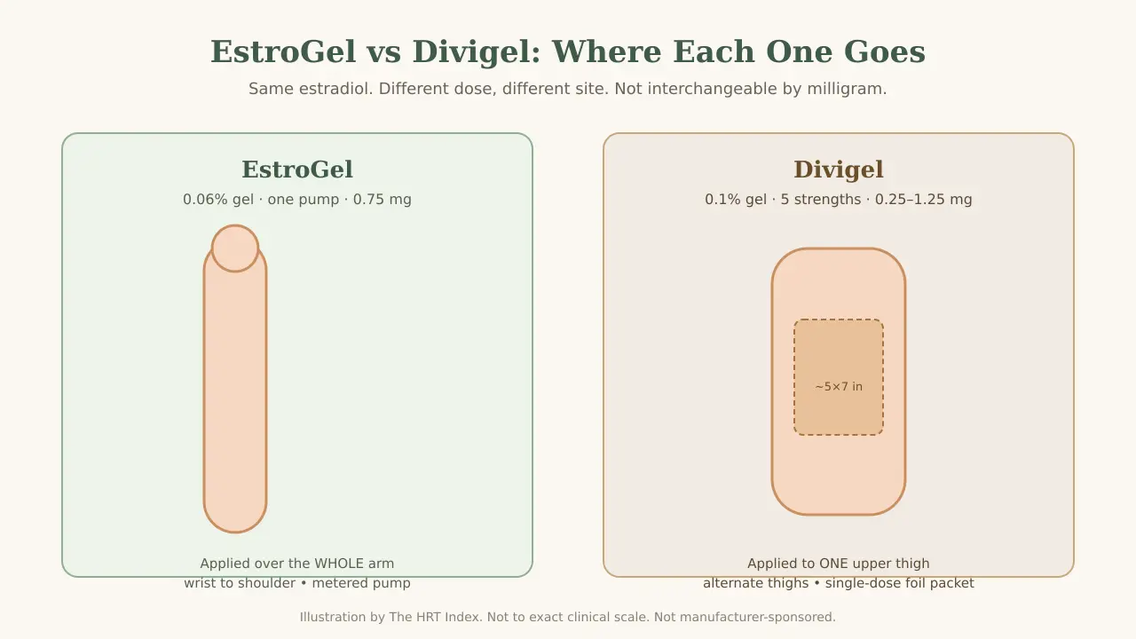 EstroGel applied over a whole arm from wrist to shoulder versus Divigel applied to a 5 by 7 inch area on one upper thigh, application site comparison illustration