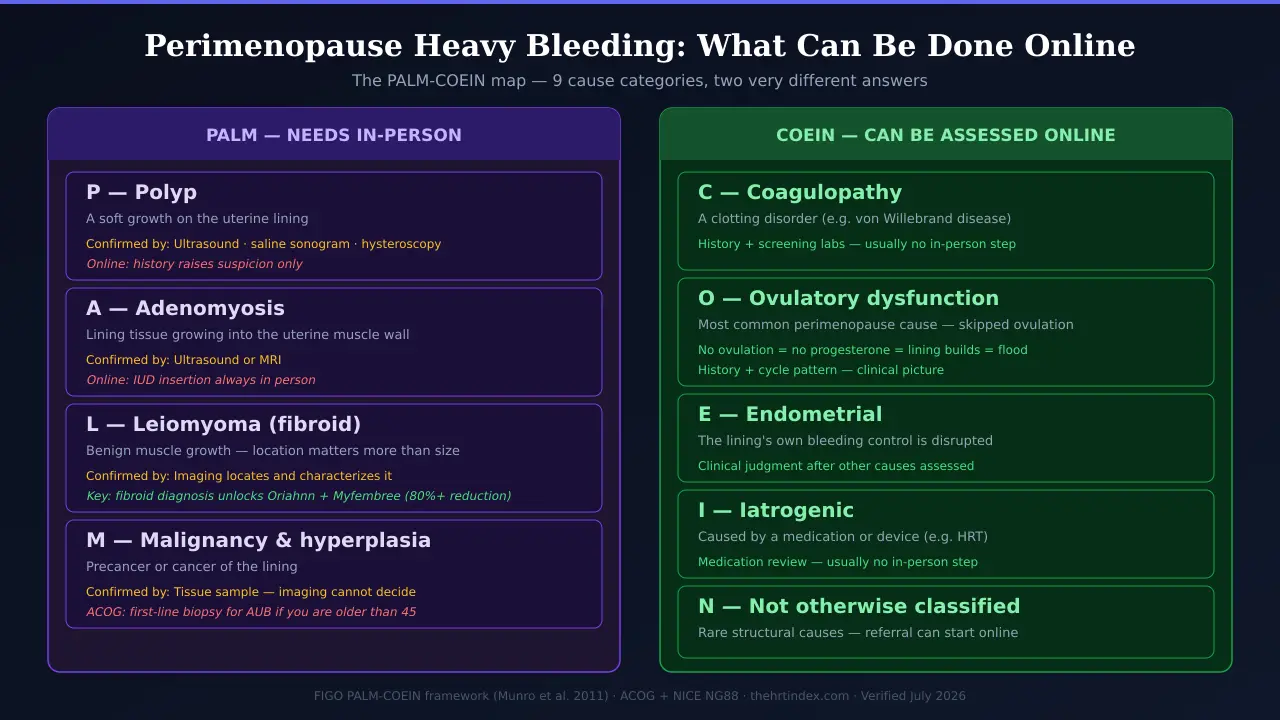 PALM-COEIN framework diagram showing 4 structural causes of heavy perimenopausal bleeding that require in-person imaging versus 5 causes that can be assessed online